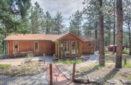 Pine Cabin | Charming Cabin on Dream Property