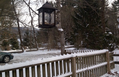 Great Barrington Cabin | Charming Cabin On Scenic Road