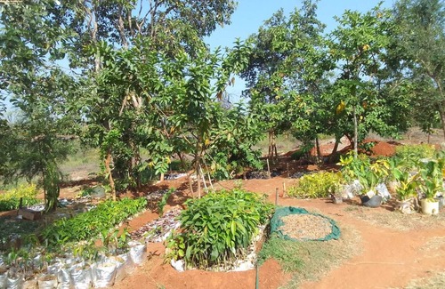 Kenya RV Rental | Charming campground and Nature Trail in Mwea with stunning views