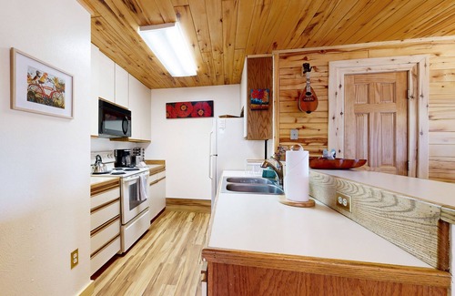 Crested Butte Condo | Charming condo with mountain views, washer/dryer, & shared hot tub