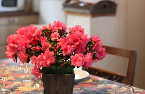 Orval Cottage | Charming Cottage with Fireplace, Private Garden & Pond in Scenic Countryside