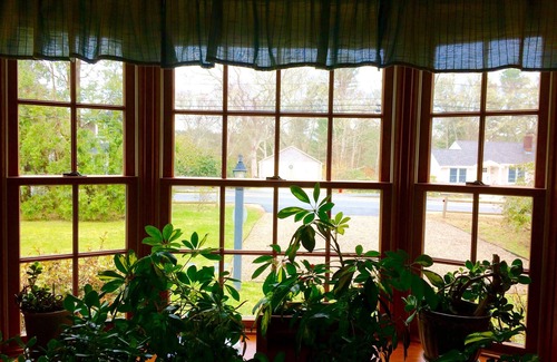 Cotuit House | Charming Cottage, breezy, bright and peaceful. Walking distance to beach and bar