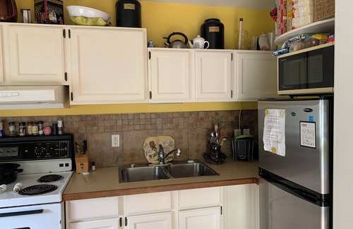 Regional District of Nanaimo Cottage | Charming cottage in beautiful Nanaimo Kitchen AC, WiFi on the Nanaimo River