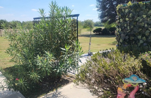 Cypress Cottage | Charming cottage in Cypress with lake view ,WiFi, AC and relaxing outdoor patio.