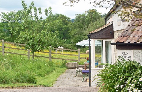 Colyton Cottage | Charming Cottage In Peaceful Location