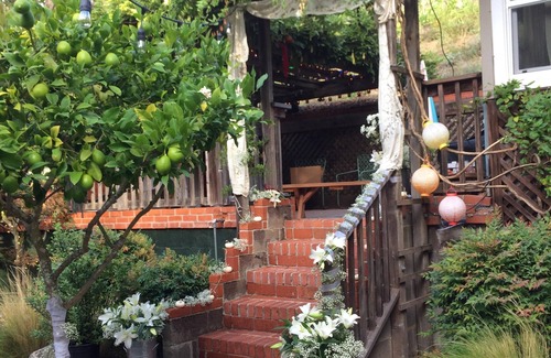 Fairfax Cottage | Charming Country Get-Away, 35 Minutes From San Francisco