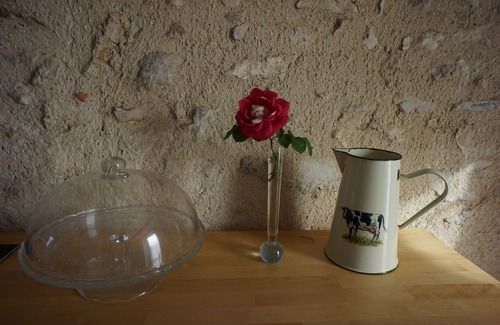 Tauxigny House | Charming country house in the heart of the castles of the Loire Valley