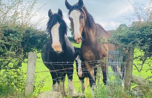 Ballymoney Cottage | Charming Countryside Retreat At Ganaby Cottage, Ganaby Farm