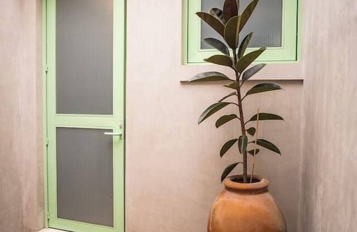 Del Carmen Apartment | Charming Cozy Apartment in the Heart of Coyoacán