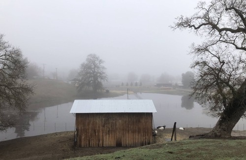 Atascadero Other | CHARMING & COZY FARMHOUSE: On 3 acres, in the beautiful coastal wine country