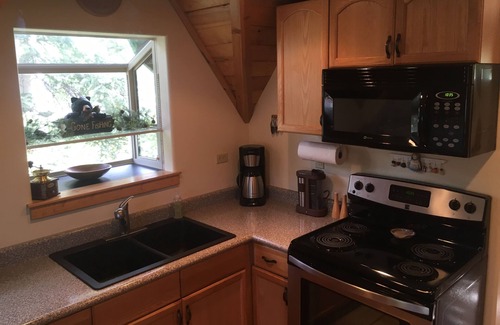 Columbine Lake Cabin | Charming Creekside Cabin-Romantic-Mtn/Waterfall Views-Hot Tub-1 mi to Purgatory