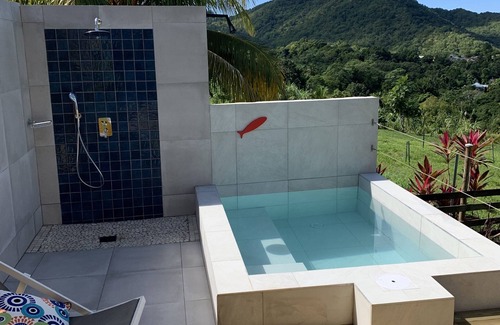 Duzer Villa | Charming Creole house with swimming pool