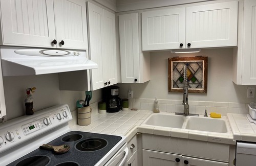 Naples Park House | Charming dog-friendly, private tropical back yard. 3 bed - 2 bath, Great value!