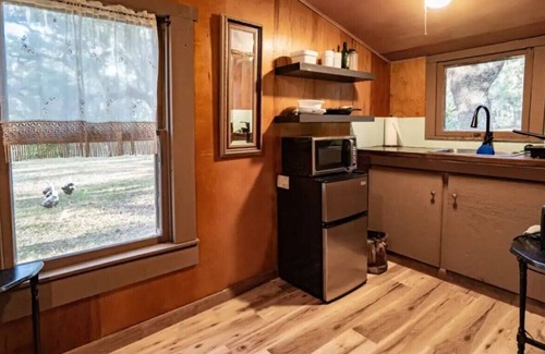 Lake Placid Cabin | Charming+Free HorsebackRiding+Petting Farm