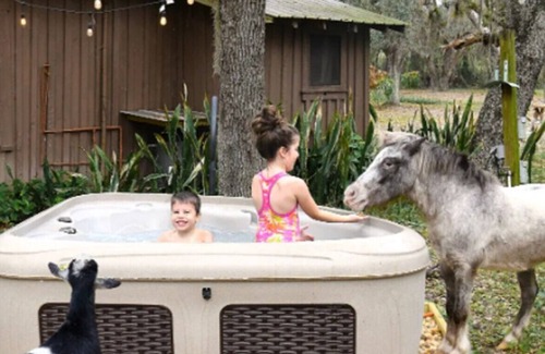 Lake Placid Cabin | Charming+Free HorsebackRiding+Petting Farm