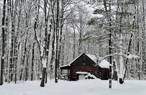Cooperstown Cabin | Charming Full Bed & 2 Twin Bed cabin w/AC, Heat, WiFi in lovely Cooperstown,