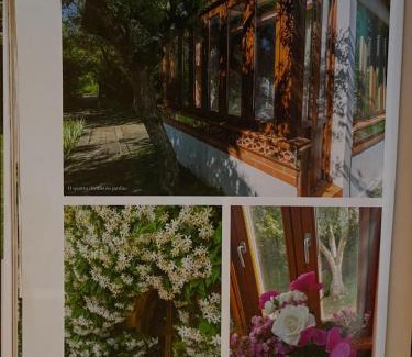 Pedrogao Grande House | Charming Garden Retreat in Pedrogao Grande