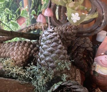 Ottery St Mary House | Charming Gnome Cottage in Devon near Sidmouth