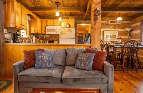 Hiwassee Cabin | Charming, Historic Cottage Claytor Lakefront 1BS4 - Kirkner Lake Cabin