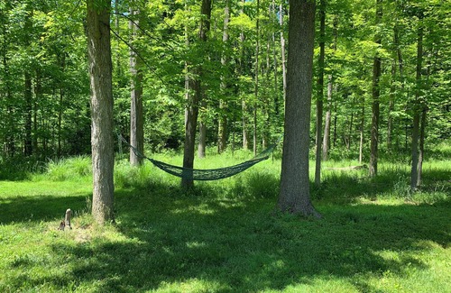 Hudson House | Charming Historical Hudson Retreat on almost 4 acres! Wildlife views daily!