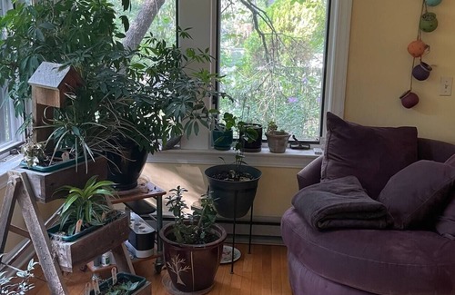 College Heights House | Charming Home | Walk to Depot Town | Special Requests | Private Retreats