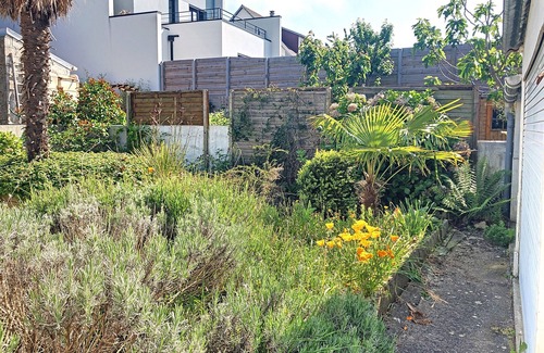 Donville-les-Bains House | Charming House: 3 Rooms, Terrace, 400m from Beach, Near Center