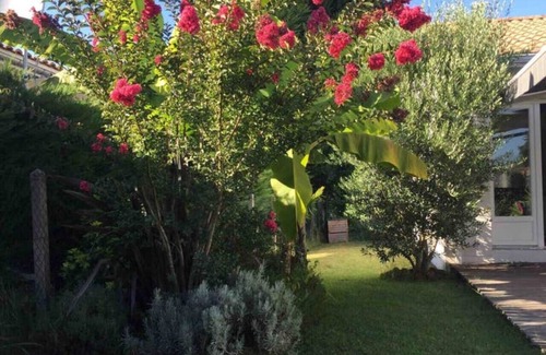 Le Teich House | Charming house Bassin d'arcachon (Le Teich).