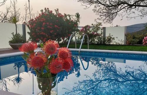 Meada House | Charming House in Águeda with Private Pool