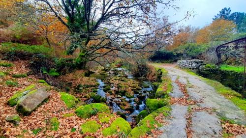 Lindoso House | Charming house in Lindoso with terrace and parking included