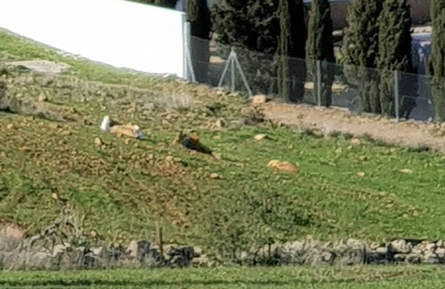 Ardales Cottage | Charming house next to Camito del Rey