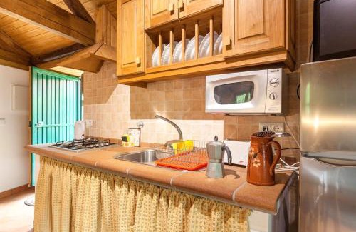 Canadelo House | Charming House Terrace Amarante