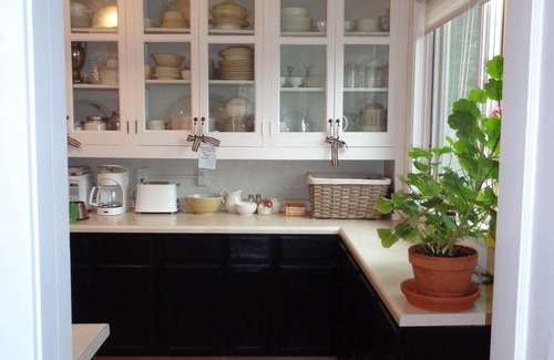 Benson Gardens House | Charming Large Midtown - Easy CWS Access