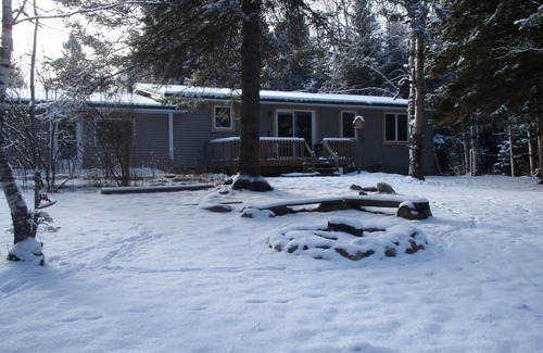 Wolverine House | Charming lodge like cabin on trout stream great for kayaking and near ORV trails