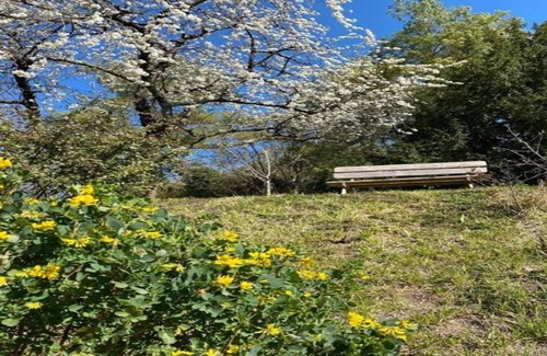 Azay-le-Rideau House | Charming Loire Valley Escape