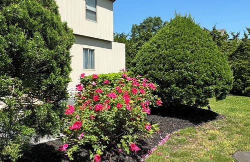 Fort Salonga House | Charming Long Island Family Getaway with Pool. An hour from Hamptons