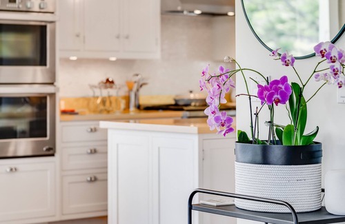 Pauwela Other | Charming Modern Home Stunning Scenery and Nature BBPH2021/0002 SUP2 2020/0008
