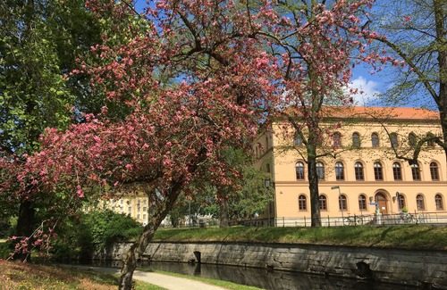 Celle House | Charming old town apartment