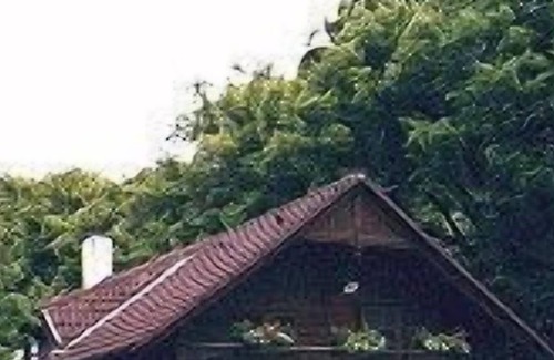 Teufenbach House | Charming old wooden house, surrounded by a large garden