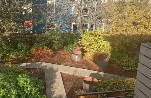 Columbia City Apartment | Charming pet friendly apartment close to cafes and park in delightful Seattle