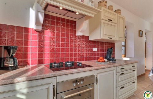 Plaisians Villa | Charming Provencal villa-mas facing Mont Ventoux Heated pool Jacuzzi