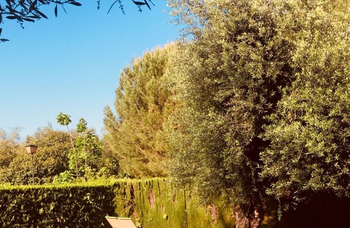 Mairena del Aljarafe House | Charming quiet independent studio with pool