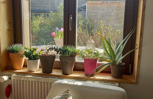 Crest House | Charming, quiet, ecologically renovated town house with small garden