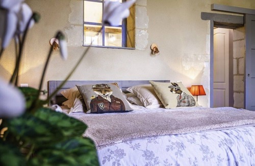 Rivarennes House | Charming residence in the heart of the Chateaux de la Loire: Romanticism, calm, nature