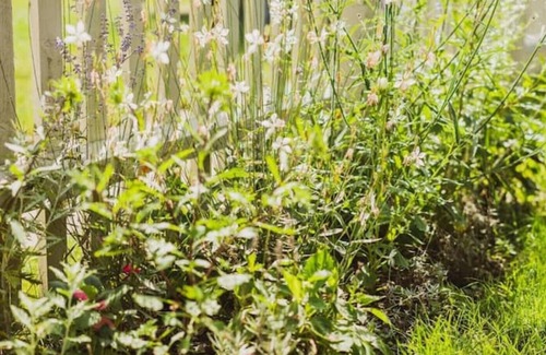 Laxfield Cabin | Charming, romantic, well equipped cabin in a lovely Suffolk village.