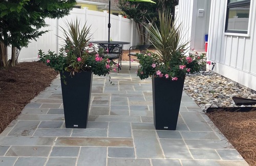 South Rehoboth Apartment | Charming Room in Downtown Rehoboth Beach