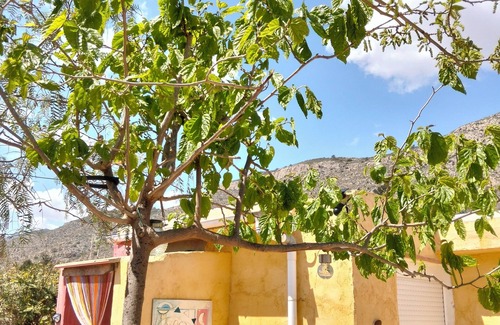 Hondon de las Nieves Cottage | Charming sheperd's shed with marvelous vieuw El Fondó de les Neus free WiFi