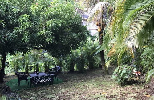 Capesterre-Belle-Eau Apartment | Charming studio under the coconut trees
