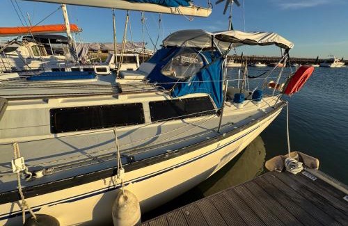 Parque das Nacoes Boat Rental | Charming Sailboat