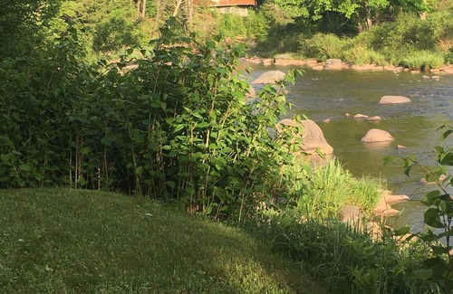 Hunter Cabin | Charming secluded mountain house with creek view. 5 min from Hunter Mtn.