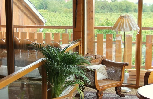 Mittelbergheim House | Charming, Serene and Light Filled House in the Heart of Alsace Wine Country